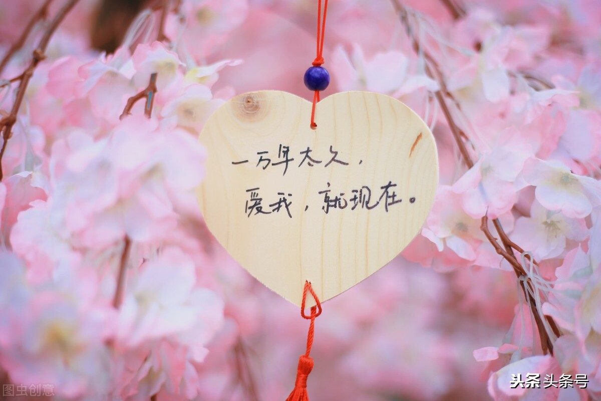 关于爱情的诗词（有关爱情的经典诗句）