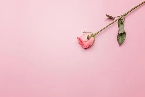 张爱玲经典语录摘抄（张爱玲20句爱情经典语录）