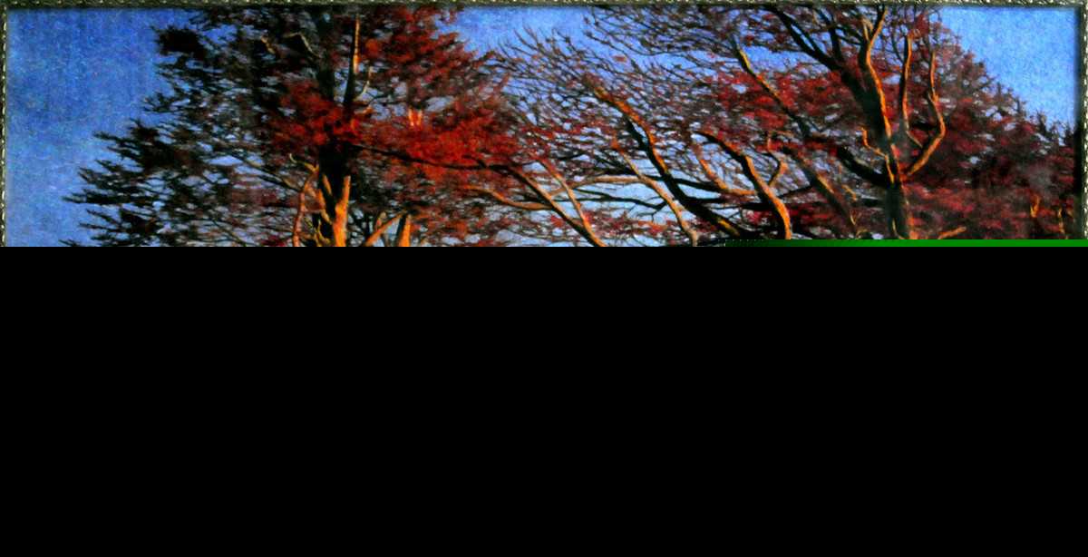 关于百天宝宝的唯美诗句（宝宝百天照经典句子）