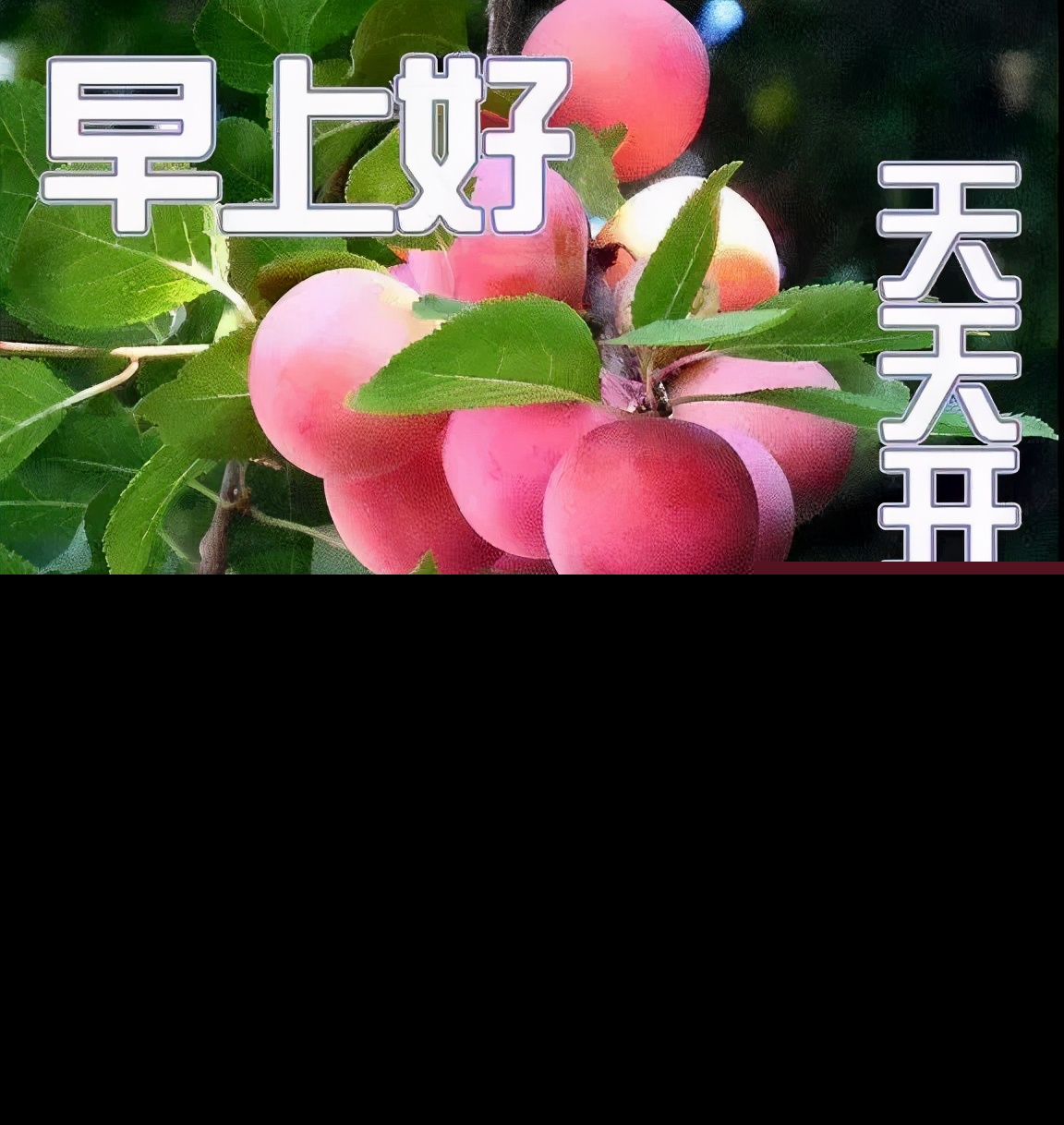 女人的幸福其实很简单的说说（越简单越幸福经典语录分享）