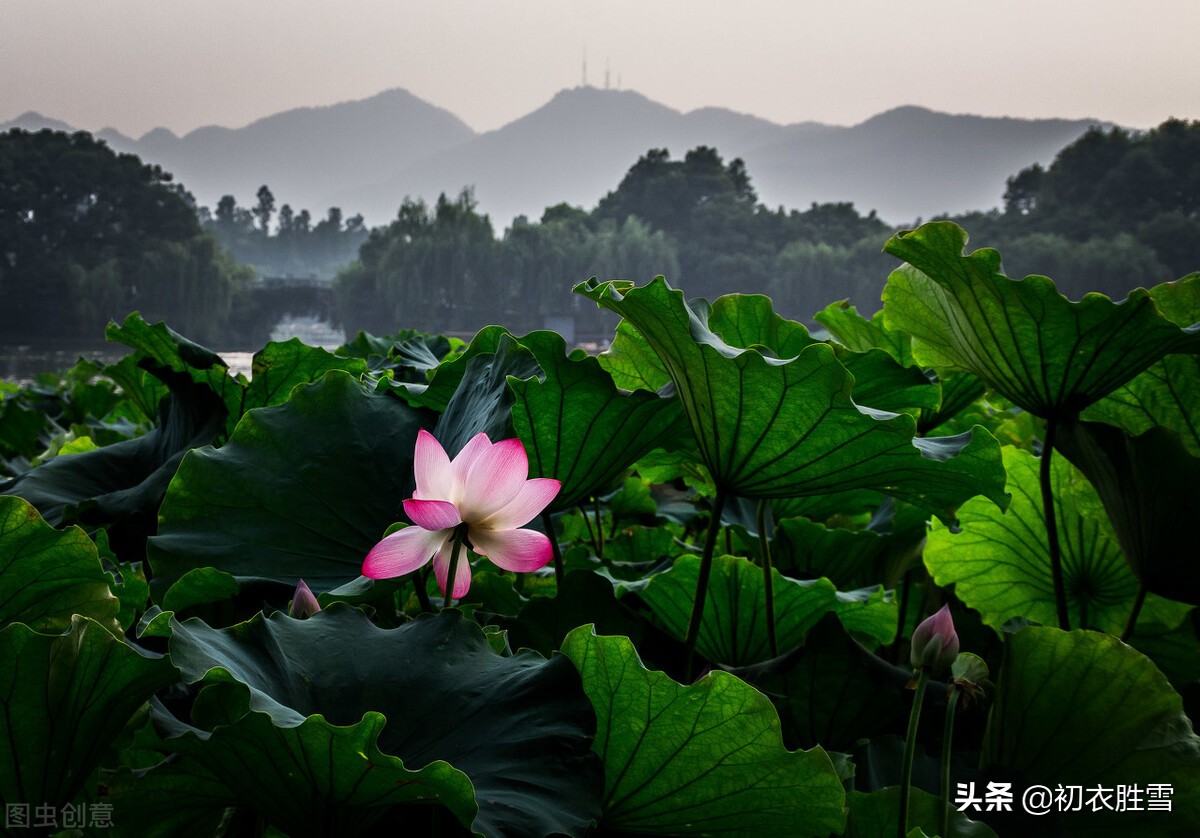 形容立秋的句子唯美（描述秋节唯美的句子分享）