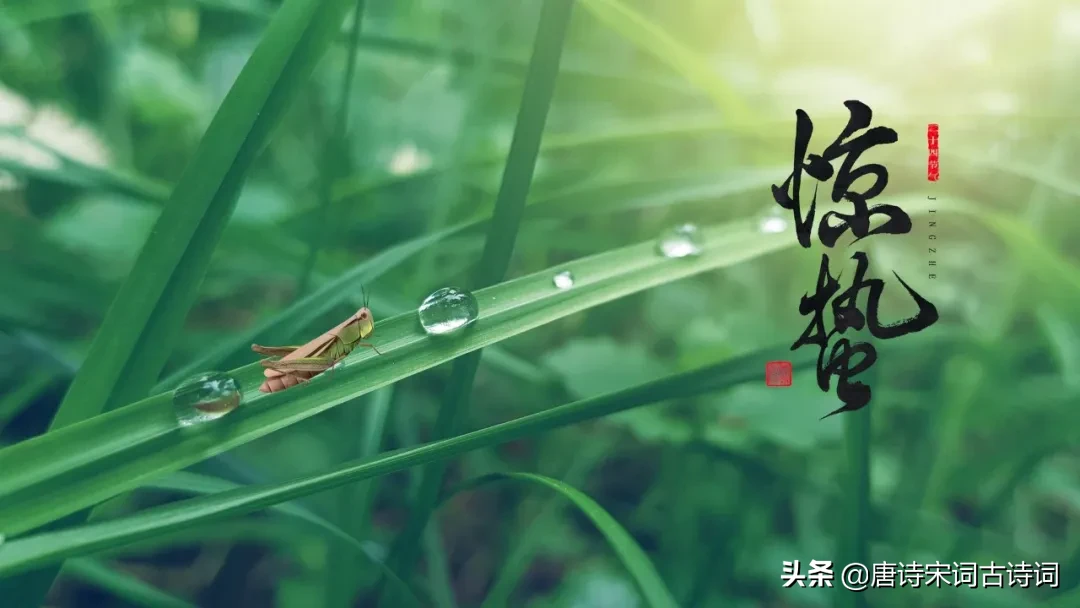 描写惊蛰节气的古诗词有哪些（和惊蛰节气有关的诗句分享）