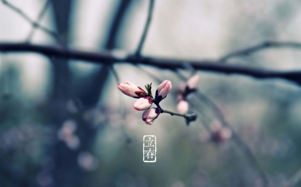 立春的诗有哪些（立春的古诗词名句鉴赏）