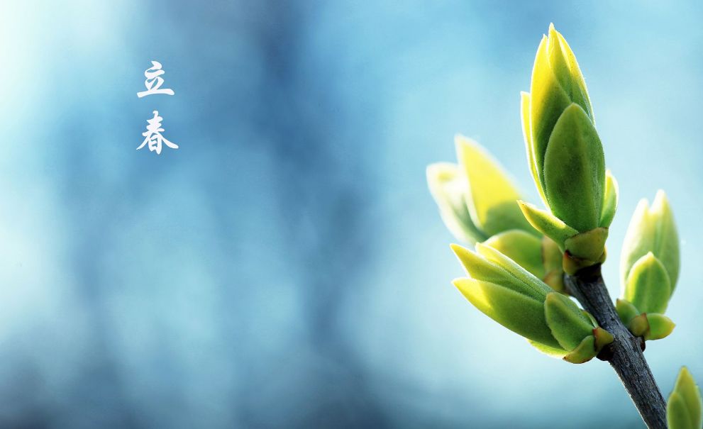 立春的诗有哪些（立春的古诗词名句鉴赏）