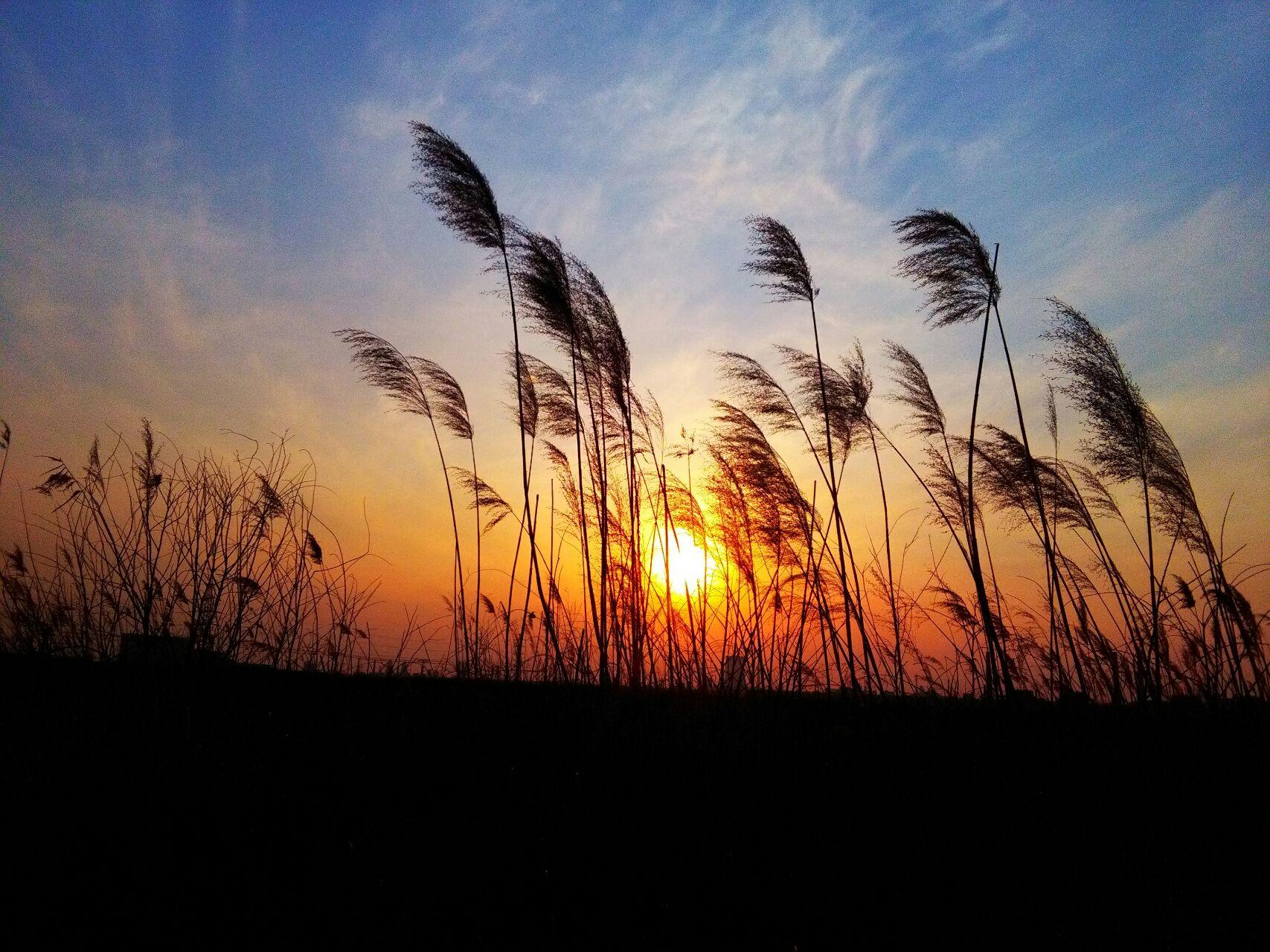 描写日落的优美句子摘抄（夕阳西下感悟人生句子）