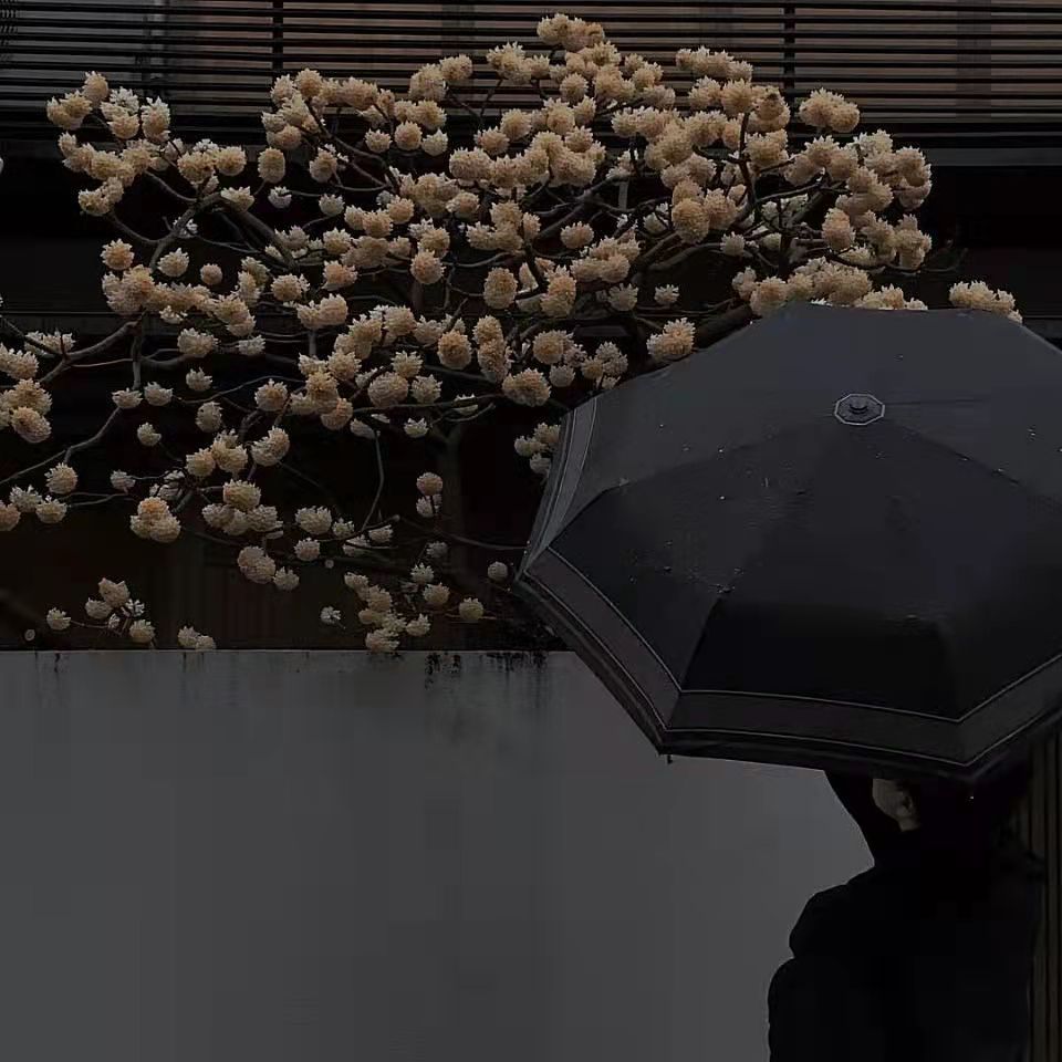 分手后的签名简短（适合分手后的个性签名）