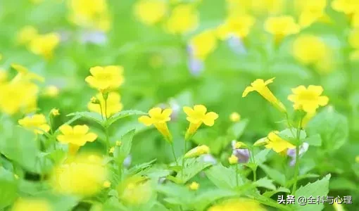 关于三月唯美语录（三月唯美语录经典励志语录）