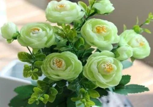 赞美山茶花的诗句（茶花的名言名句）