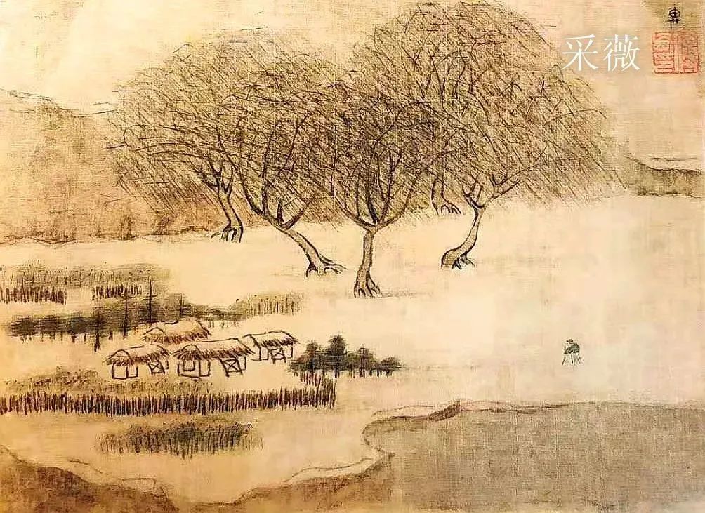 柳树的描写优美句子（关于垂柳的优美句子）