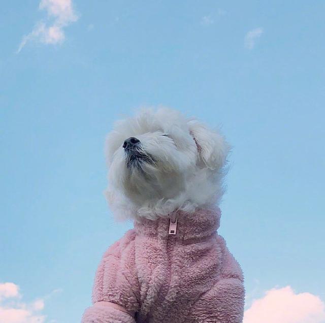 正能量句子励志短句子（激励励志正能量短句）