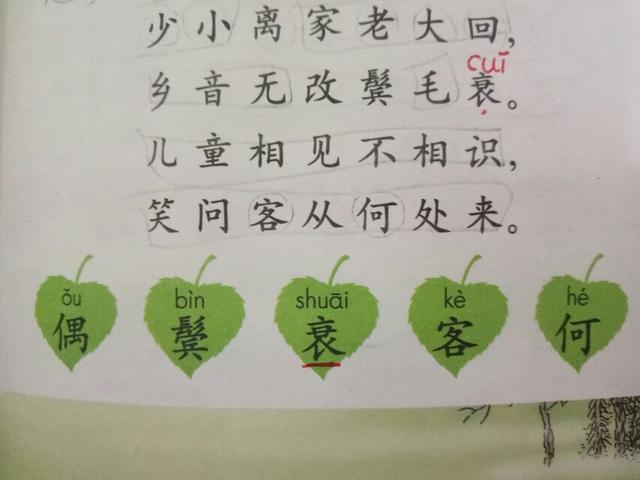 回乡偶书古诗的意思（回乡偶书诗意鉴赏）