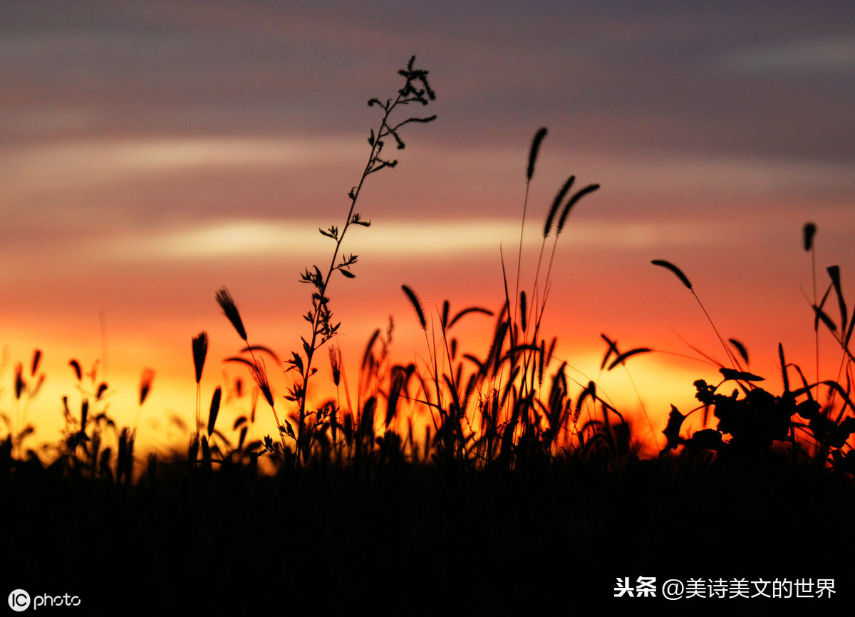 万里悲秋常作客百年多病独登台（杜甫登高原文）