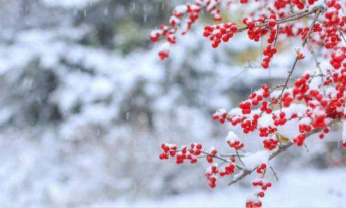 适合第一场雪发的句子（下雪文案短句干净）