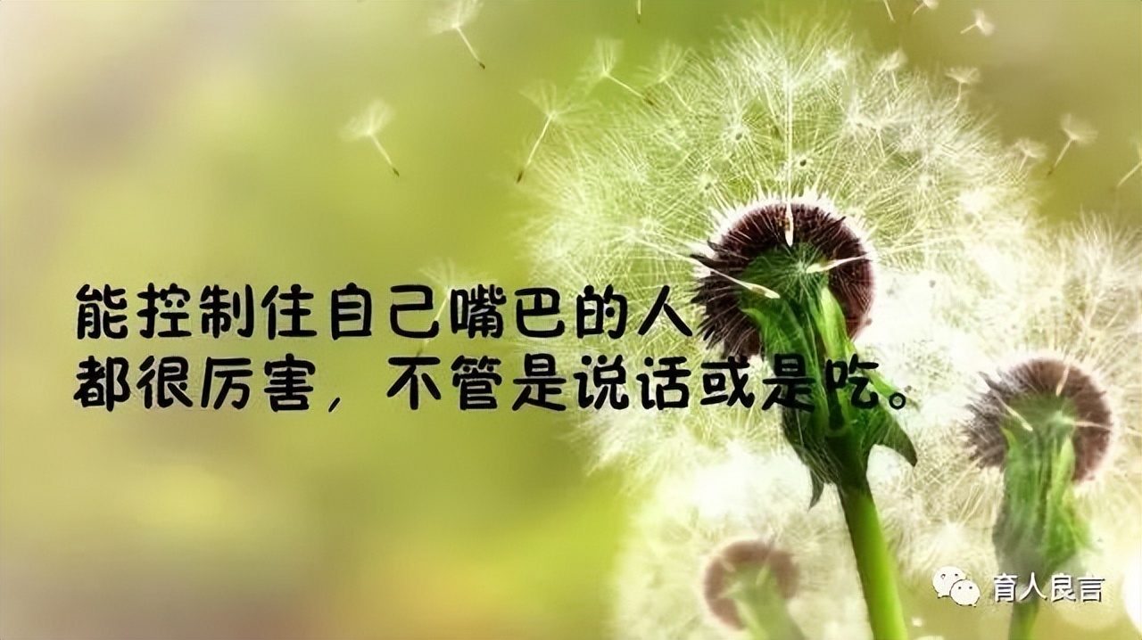 哲理句子人生感悟（关于感悟人生的句子）