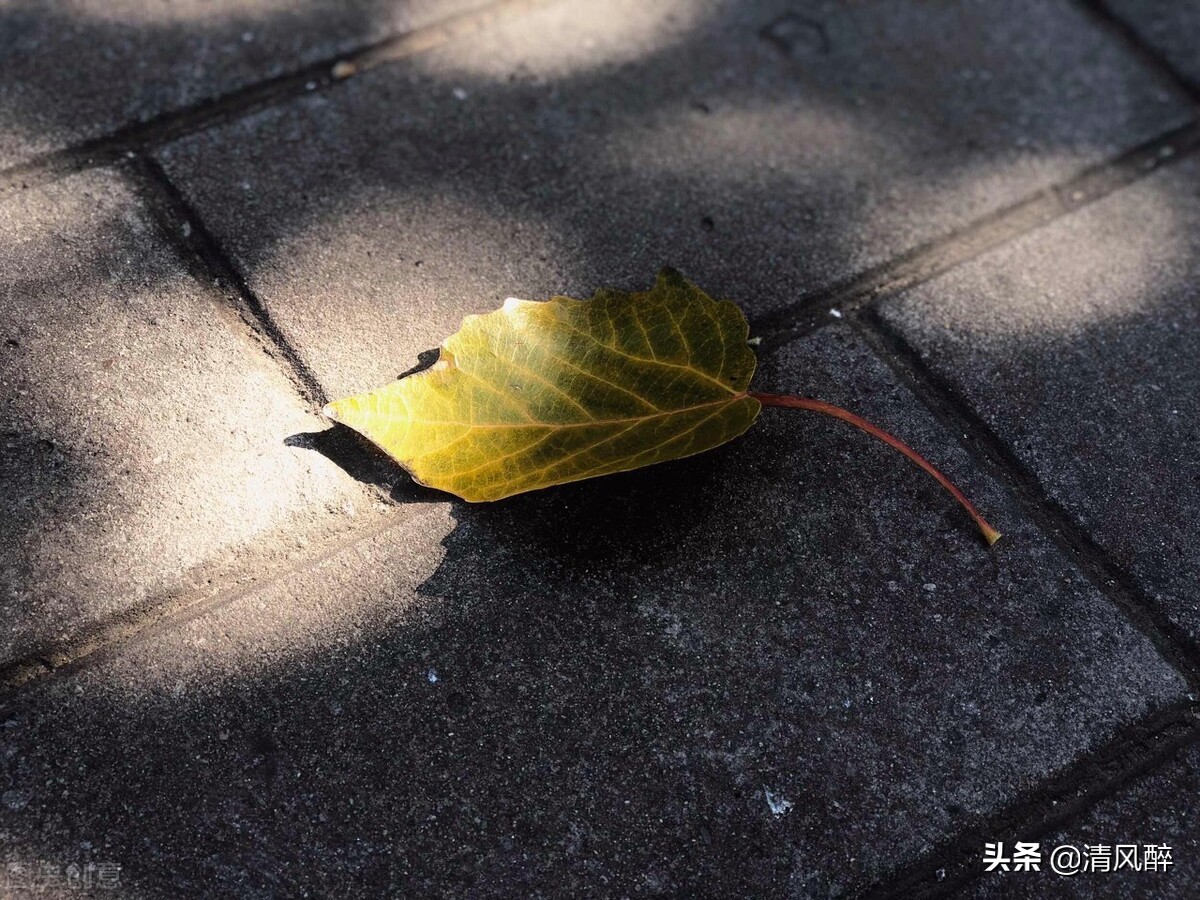 悲伤签名个性签名（非常伤感的个性签名）