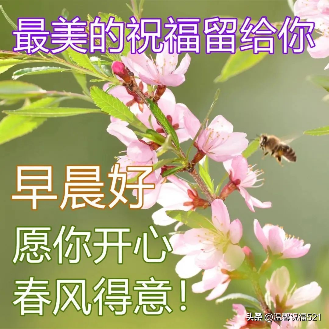 早安心语短句（早安让人看了舒服的句子）
