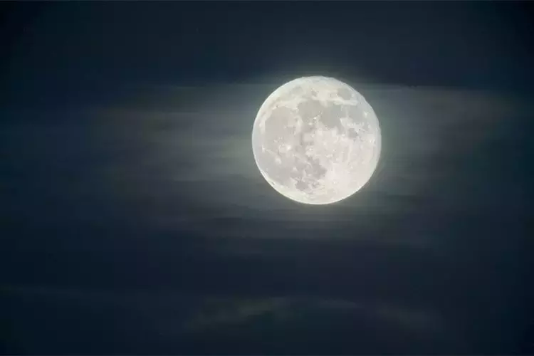赏月诗词有哪些（夜晚赏月的唯美诗句）