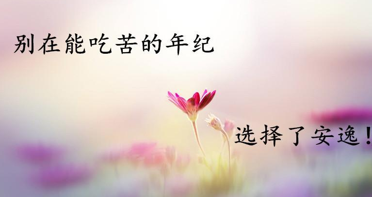 汉乐府的诗有哪些（汉乐府最著名的诗原文）