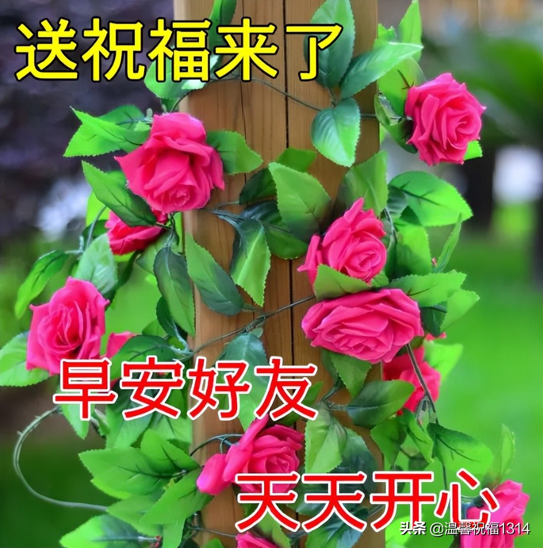 早上好的问候美句（很甜很撩的早安句子）