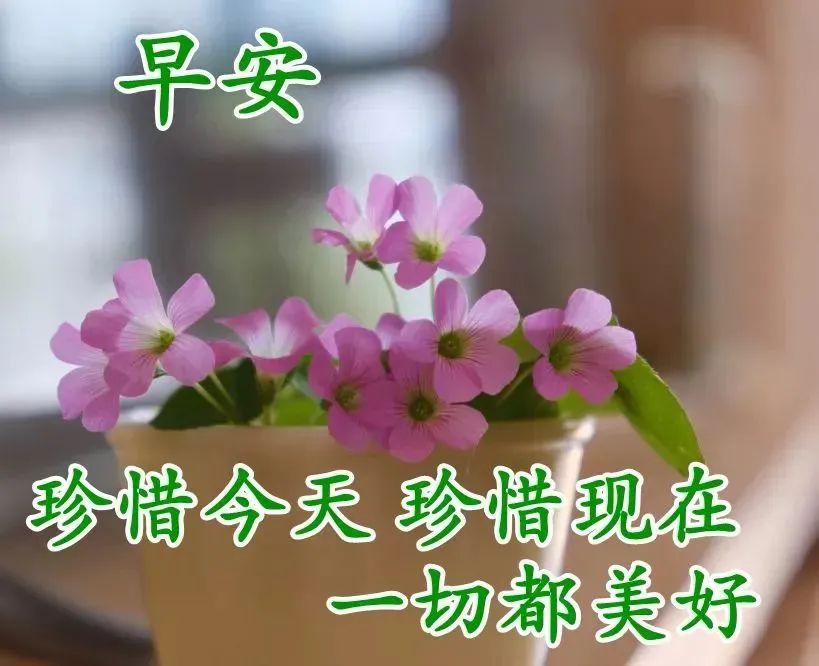 关心的话语句子（情商高安慰人的句子）