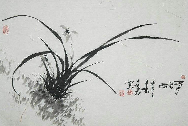 兰花诗句经典名句（描写兰花的诗句古诗）