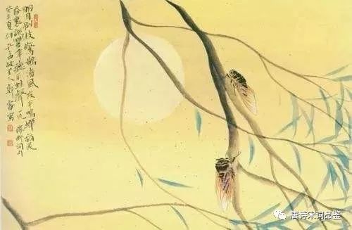 明月别枝惊鹊清风半夜鸣蝉的意思（明月别枝惊鹊全诗）