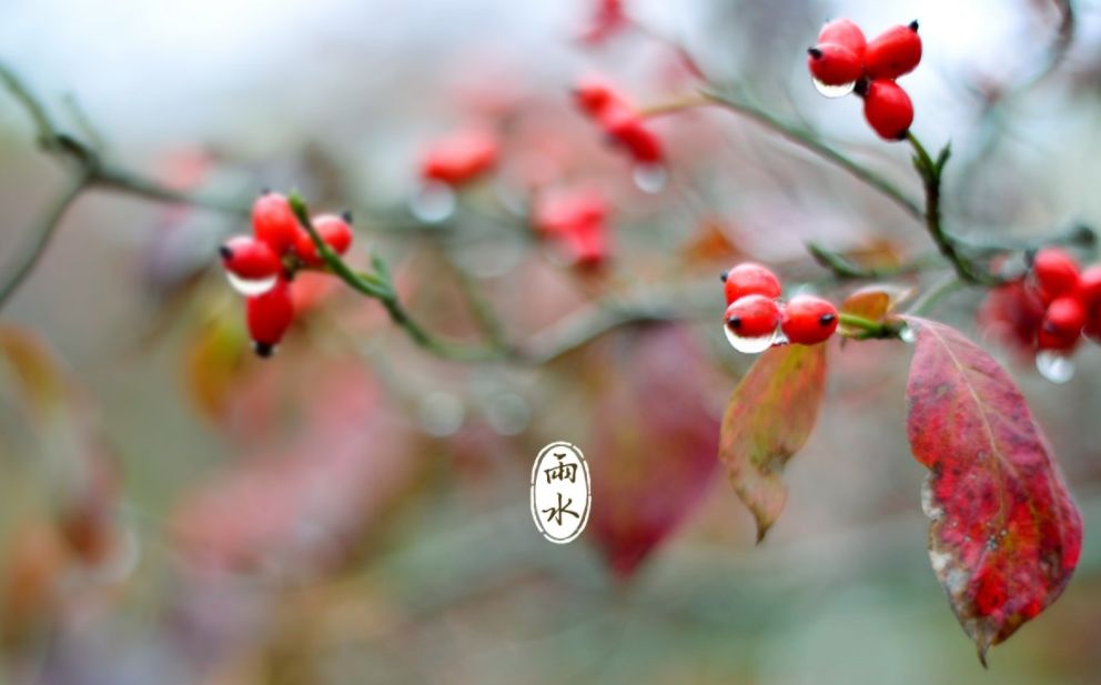 有关于雨水节气的诗句（雨水节气的古诗俗语和谚语）