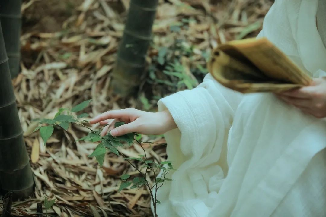 李白的古诗有哪些（关于李白的诗词欣赏）