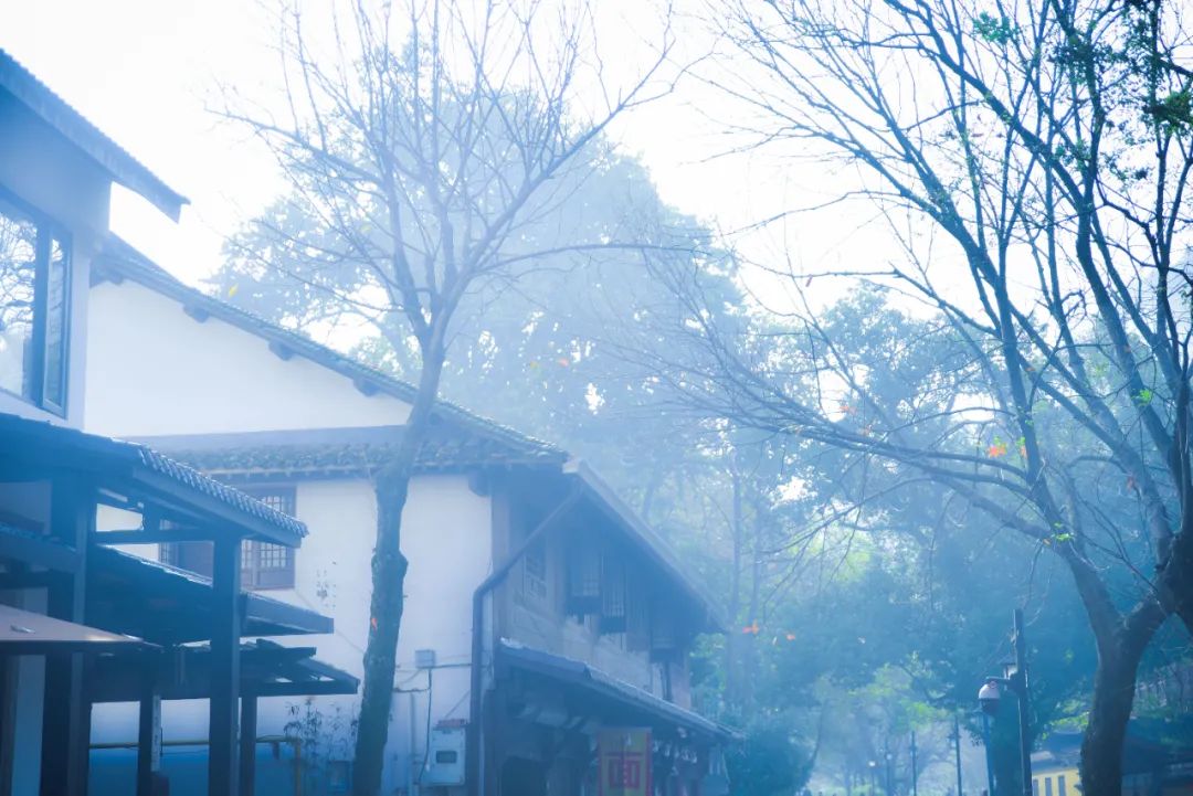 元稹的诗代表作（元稹著名诗词欣赏）