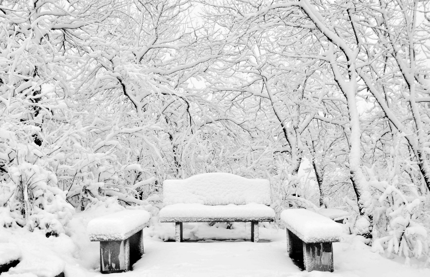 描写冬天雪景的优美句子（冬天雪景文案赏析）
