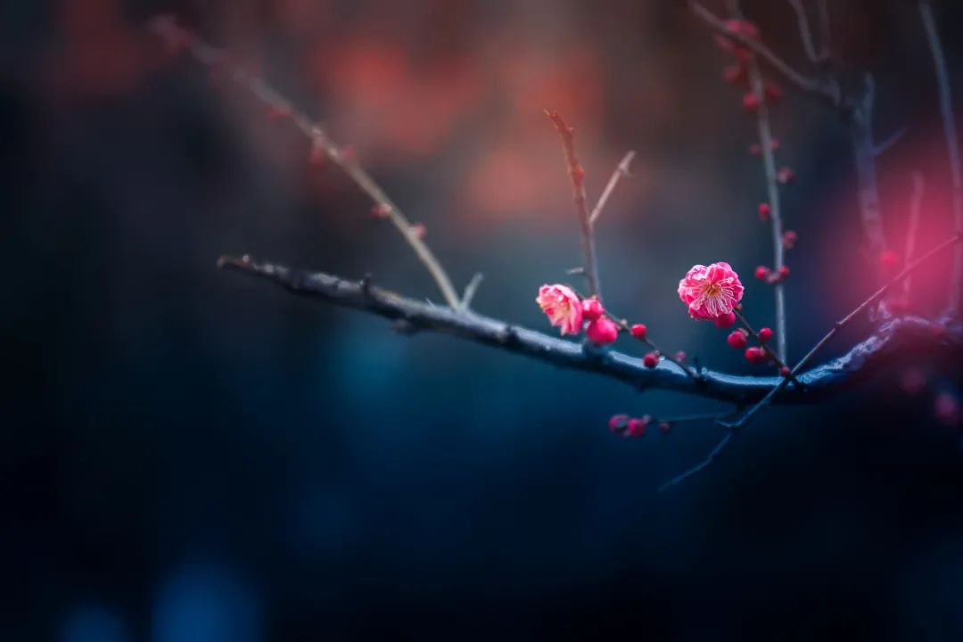 古诗元日的诗意(元日王安石赏析)
