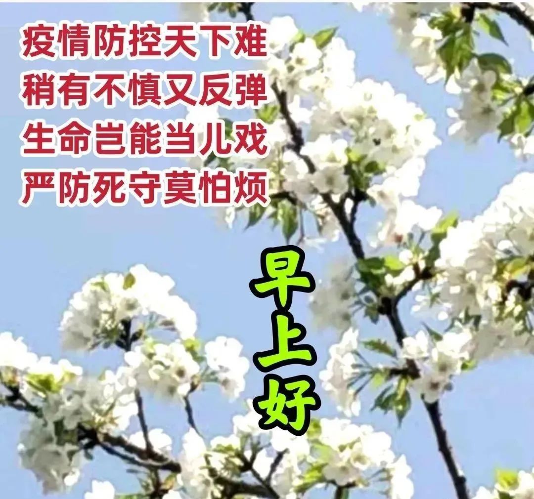最新经典祝福短信（祝福短信大全简短）