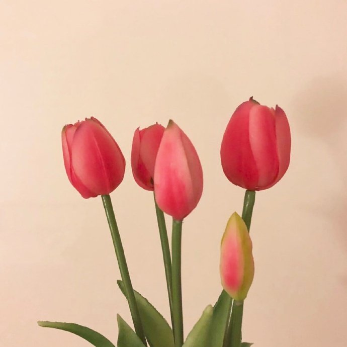 简短的表白情话诗句（古言表白情话诗句）