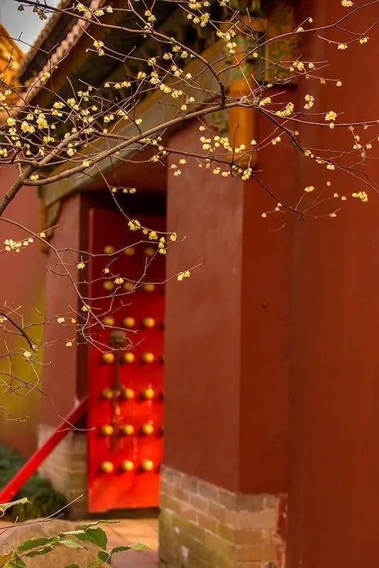 美好祝愿的文艺句子（愿一切越来越好的句子）