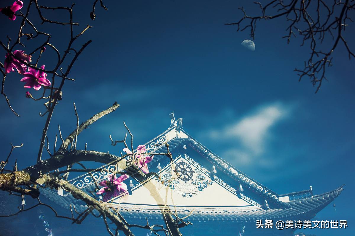 枝上柳绵吹又少全诗（蝶恋花春景赏析）