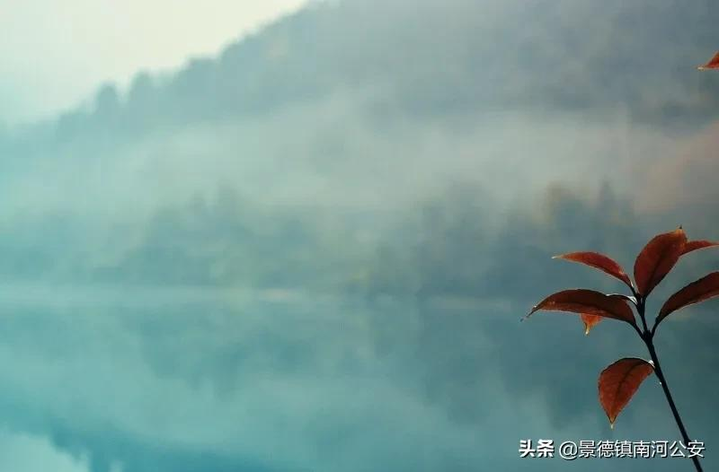 好的诗句摘抄简短的（名人唯美句子摘抄）