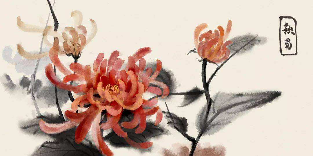 画菊郑思肖阅读（画菊郑思肖表达的情感）
