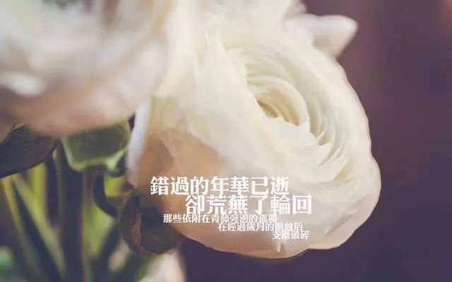 路过心上的句子伤感（人生路过的风景的句子）