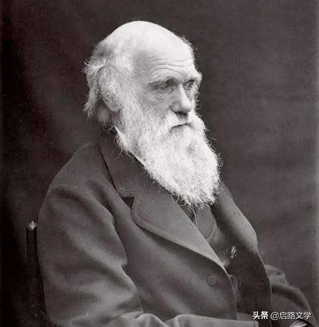 积极乐观的名人名言（积极乐观的心态的句子）