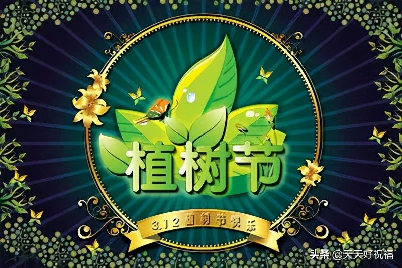 关于植树节的优美句子（植树节好词好句短句）