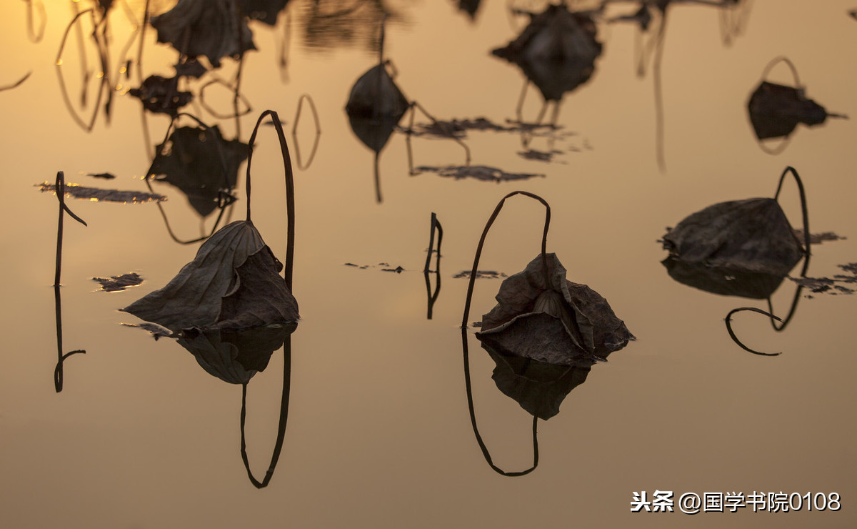 春天的诗句古诗大全（描写赞美春天的古诗）