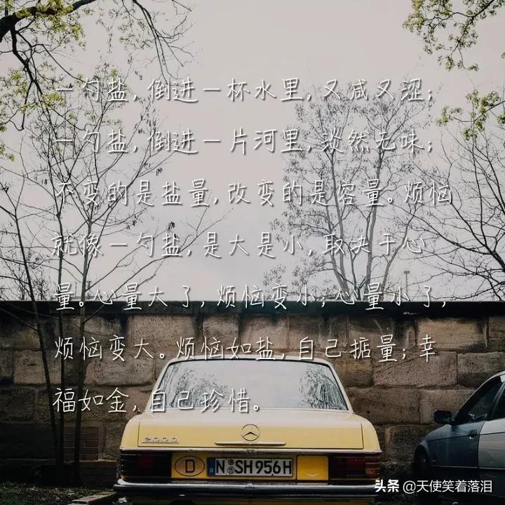 佳句摘抄大全简短（优美好句摘抄大全）