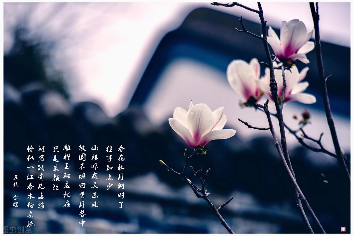 春花秋月原文（虞美人春花秋月何时了翻译及赏析）
