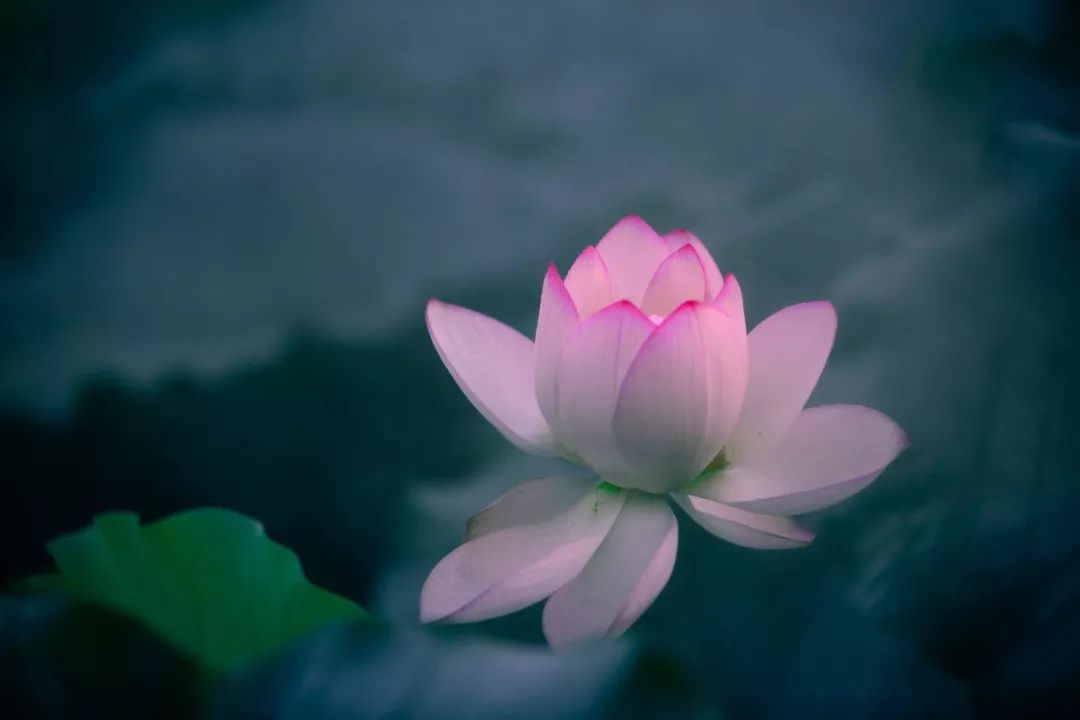 寓意美好的诗句有哪些（寓意美好的诗句鉴赏）