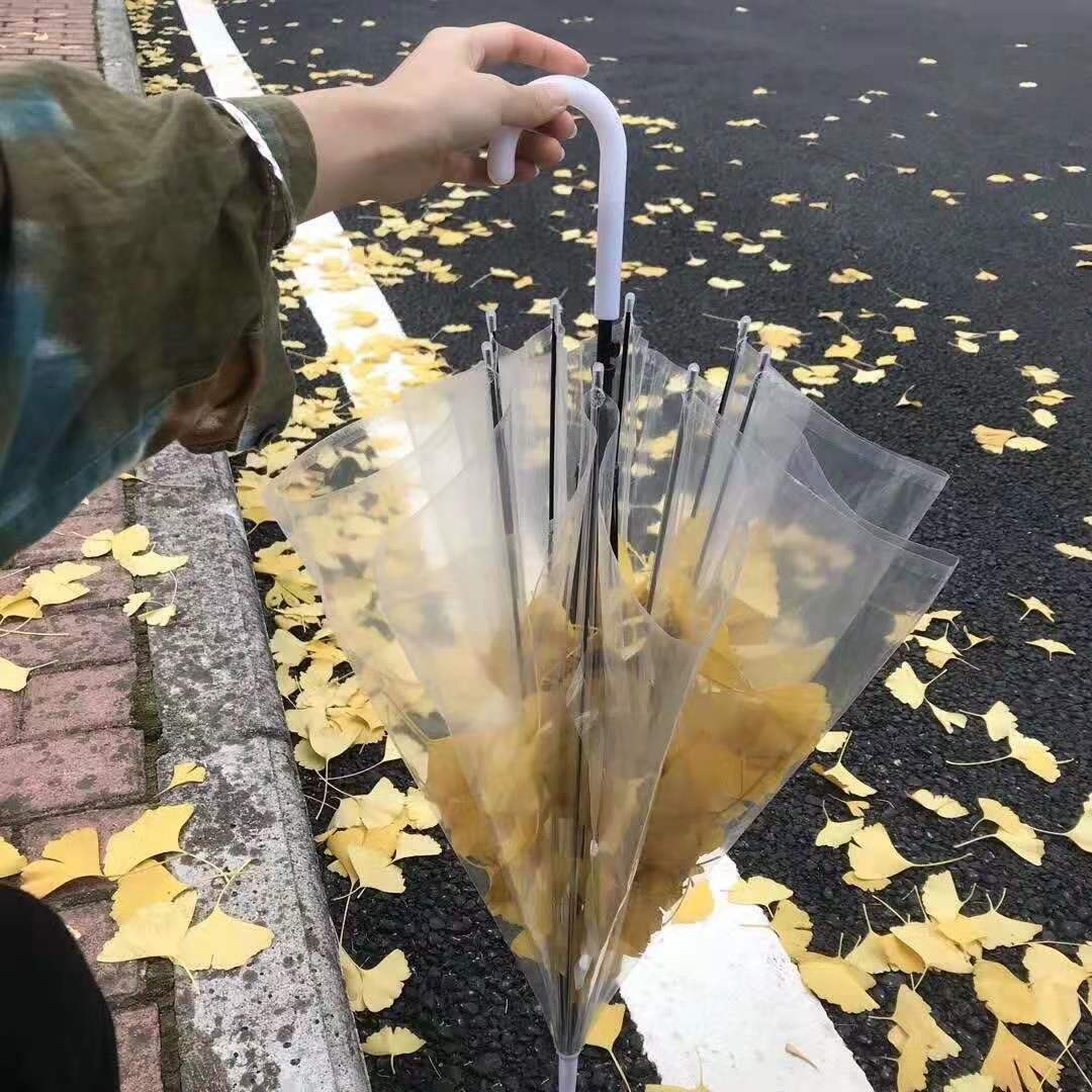 形容心情不好情绪低落的句子（不高兴的句子说说心情）