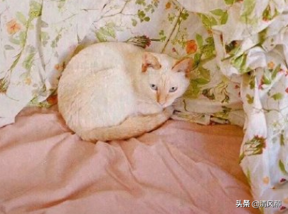 qq英文个性签名励志（高级英文个性签名简短）