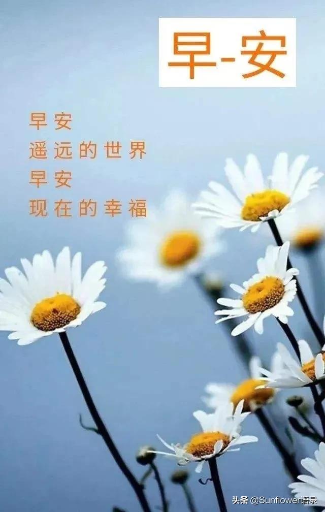 早安正能量句子励志短句子（早上激励的正能量的话）