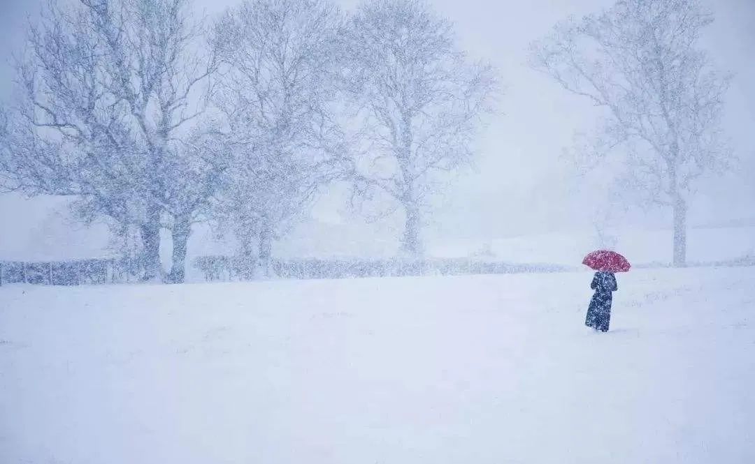 大雪节气的诗句有哪些（关于大雪的诗句古诗）