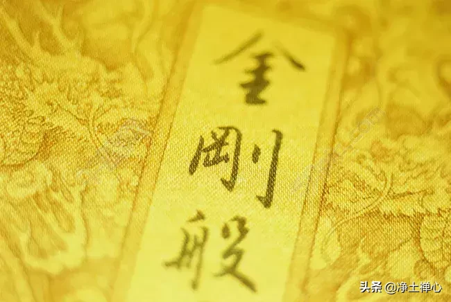 金刚经译文及解释（金刚经启请全文及注解）