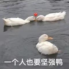 表达爱的句子简短的（浪漫到极致的句子）